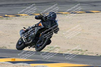 media/Oct-06-2024-Race Pace (Sun) [[d7d39ec7ad]]/9-Bowl Exit (940am)/